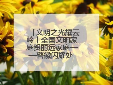 文明之光耀云岭丨全国文明家庭贺丽远家庭——警徽闪耀处 家风铸忠诚