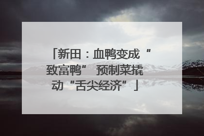新田：血鸭变成“致富鸭” 预制菜撬动“舌尖经济”