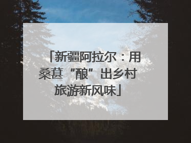 新疆阿拉尔：用桑葚“酿”出乡村旅游新风味