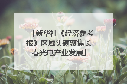 新华社《经济参考报》区域头题聚焦长春光电产业发展
