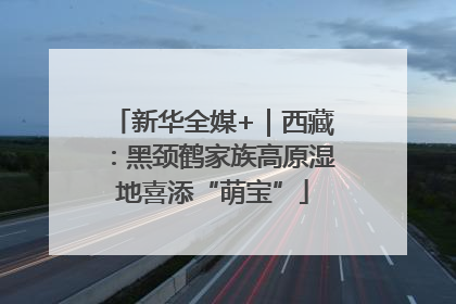 新华全媒+｜西藏：黑颈鹤家族高原湿地喜添“萌宝”