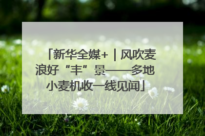 新华全媒+｜风吹麦浪好“丰”景——多地小麦机收一线见闻