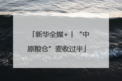 新华全媒+丨“中原粮仓”麦收过半