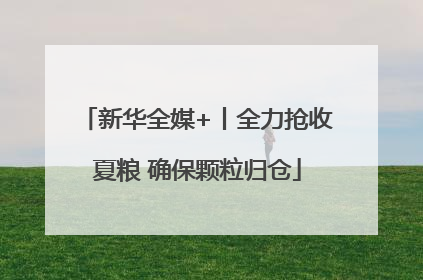 新华全媒+丨全力抢收夏粮 确保颗粒归仓