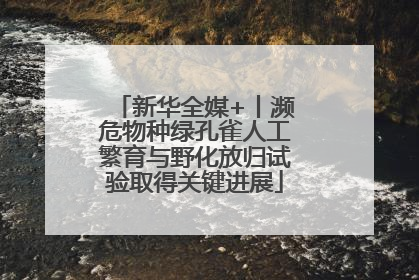 新华全媒+丨濒危物种绿孔雀人工繁育与野化放归试验取得关键进展