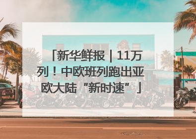 新华鲜报｜11万列！中欧班列跑出亚欧大陆“新时速”