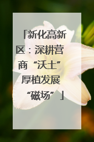 新化高新区：深耕营商“沃土” 厚植发展“磁场”