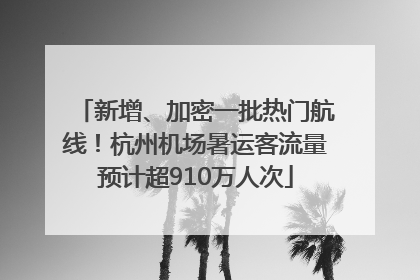 新增、加密一批热门航线！杭州机场暑运客流量预计超910万人次