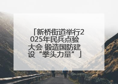 新桥街道举行2025年民兵点验大会 锻造国防建设“拳头力量”