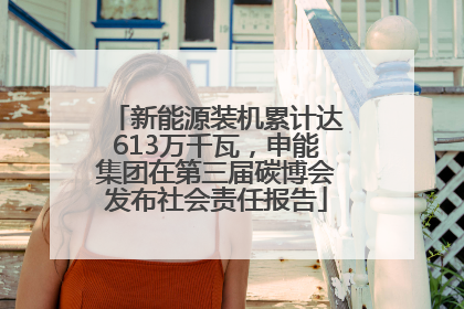 新能源装机累计达613万千瓦，申能集团在第三届碳博会发布社会责任报告