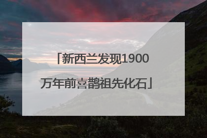 新西兰发现1900万年前喜鹊祖先化石