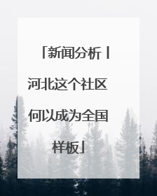 新闻分析丨河北这个社区何以成为全国样板