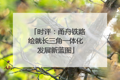 时评：甬舟铁路绘就长三角一体化发展新蓝图