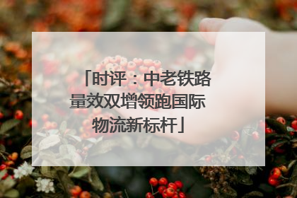 时评：中老铁路量效双增领跑国际物流新标杆