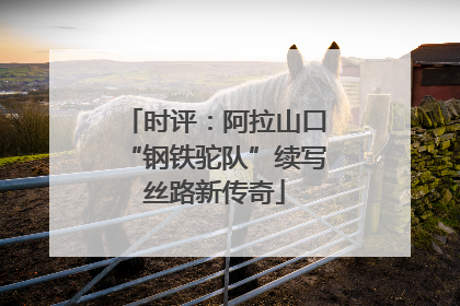 时评：阿拉山口“钢铁驼队”续写丝路新传奇