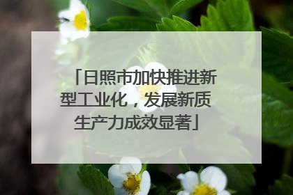 日照市加快推进新型工业化，发展新质生产力成效显著
