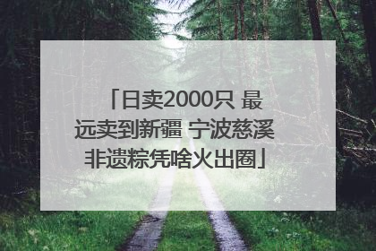 日卖2000只 最远卖到新疆 宁波慈溪非遗粽凭啥火出圈
