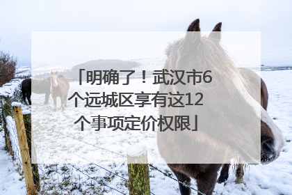 明确了！武汉市6个远城区享有这12个事项定价权限