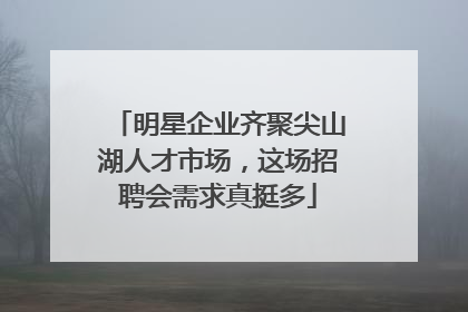 明星企业齐聚尖山湖人才市场，这场招聘会需求真挺多