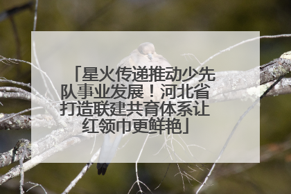 星火传递推动少先队事业发展！河北省打造联建共育体系让红领巾更鲜艳