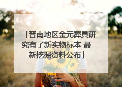 晋南地区金元葬具研究有了新实物标本 最新挖掘资料公布
