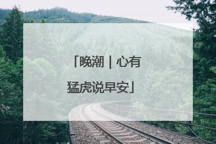 晚潮｜心有猛虎说早安