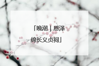 晚潮｜恩泽绵长义贞祠