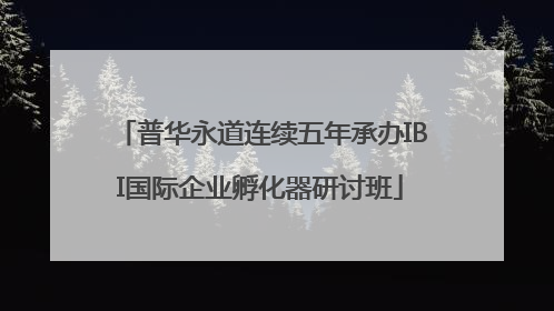 普华永道连续五年承办IBI国际企业孵化器研讨班