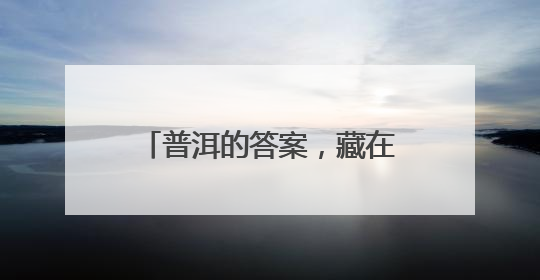 普洱的答案，藏在万物共生的和鸣里