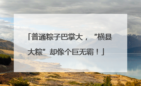 普通粽子巴掌大，“横县大粽”却像个巨无霸！