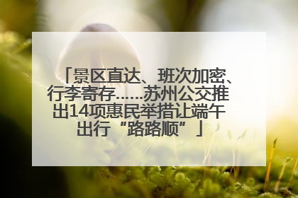 景区直达、班次加密、行李寄存……苏州公交推出14项惠民举措让端午出行“路路顺”