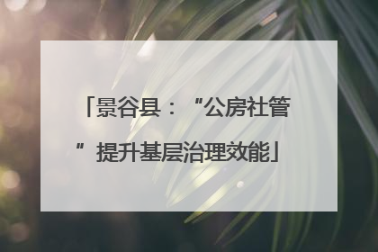 景谷县：“公房社管”提升基层治理效能