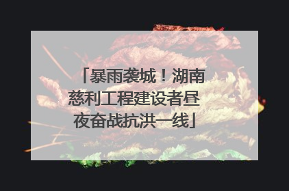 暴雨袭城！湖南慈利工程建设者昼夜奋战抗洪一线