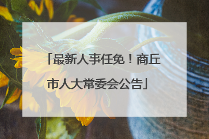 最新人事任免！商丘市人大常委会公告