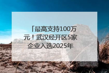 最高支持100万元！武汉经开区5家企业入选2025年度武汉市重点研发计划拟立项项目名单