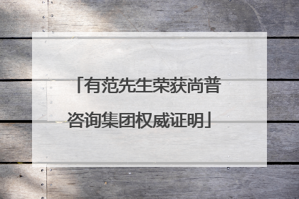 有范先生荣获尚普咨询集团权威证明