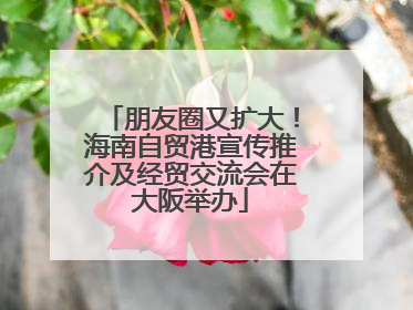 朋友圈又扩大！海南自贸港宣传推介及经贸交流会在大阪举办