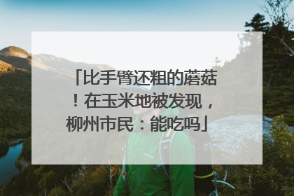 比手臂还粗的蘑菇！在玉米地被发现，柳州市民：能吃吗