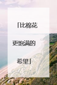 比棉花更饱满的希望