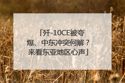 歼-10CE被夸爆、中东冲突何解？来看东亚地区心声