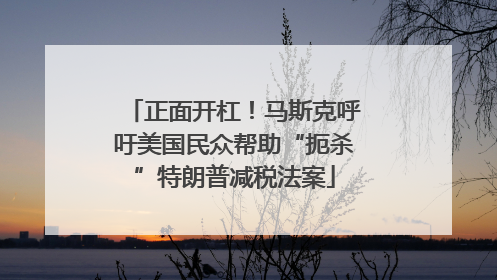 正面开杠！马斯克呼吁美国民众帮助“扼杀”特朗普减税法案