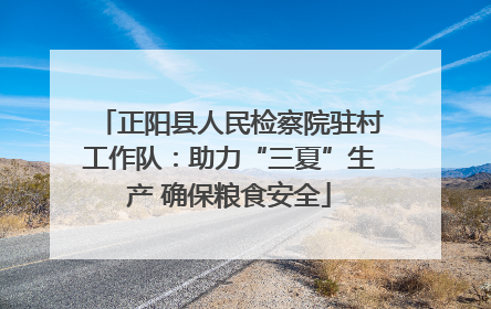 正阳县人民检察院驻村工作队：助力“三夏”生产 确保粮食安全