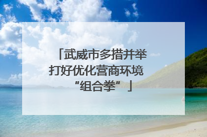 武威市多措并举打好优化营商环境“组合拳”