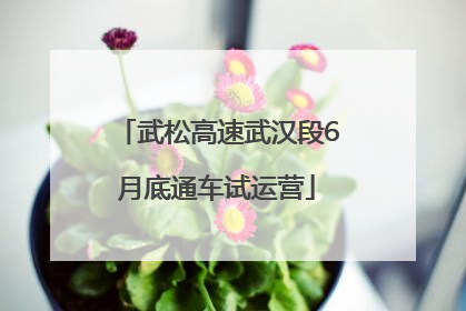 武松高速武汉段6月底通车试运营