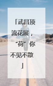 武昌顶流花展，“荷”你不见不散