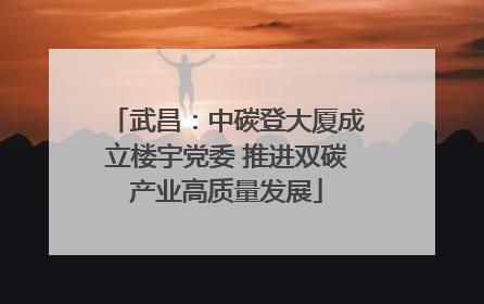 武昌：中碳登大厦成立楼宇党委 推进双碳产业高质量发展