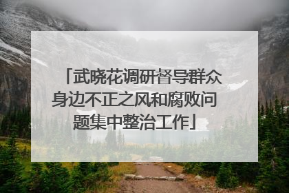 武晓花调研督导群众身边不正之风和腐败问题集中整治工作