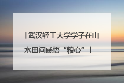 武汉轻工大学学子在山水田间感悟“粮心”