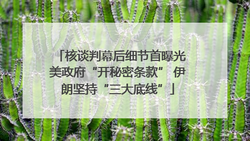 核谈判幕后细节首曝光 美政府“开秘密条款” 伊朗坚持“三大底线”