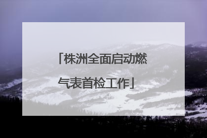 株洲全面启动燃气表首检工作